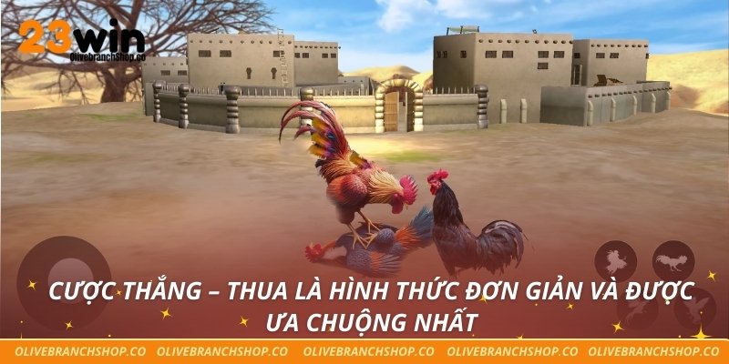 Cược thắng – thua là hình thức đơn giản và được ưa chuộng nhất