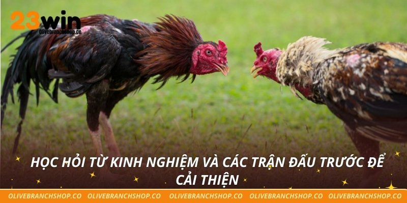 Học hỏi từ kinh nghiệm và các trận đấu trước để cải thiện
