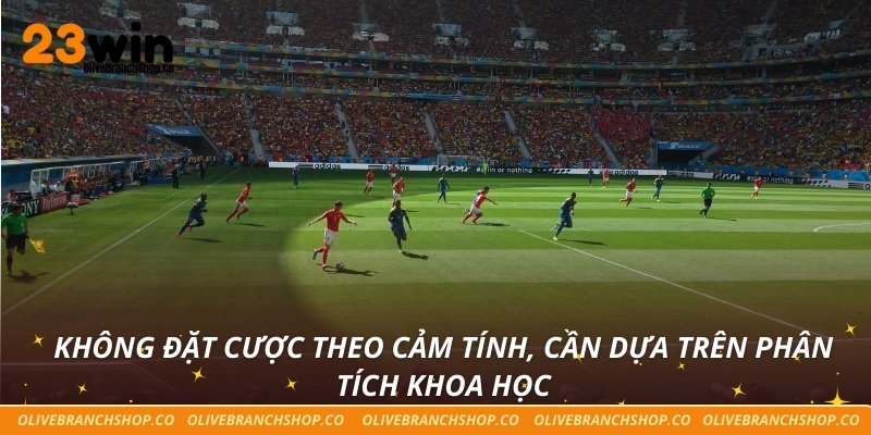 Không đặt cược theo cảm tính, cần dựa trên phân tích khoa học