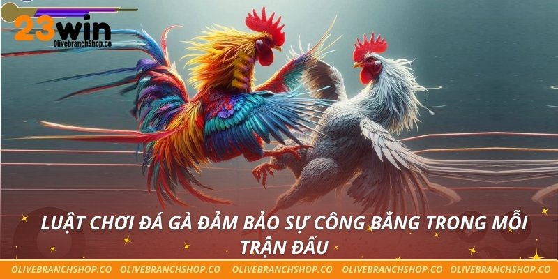 Luật chơi đá gà đảm bảo sự công bằng trong mỗi trận đấu