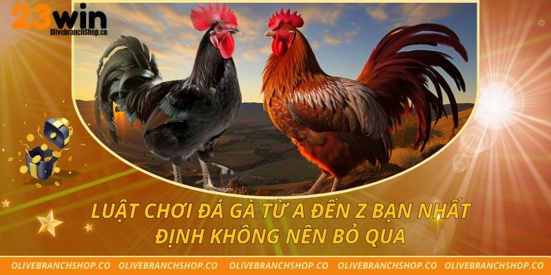 Luật Chơi Đá Gà Từ A Đến Z Bạn Nhất Định Không Nên Bỏ Qua