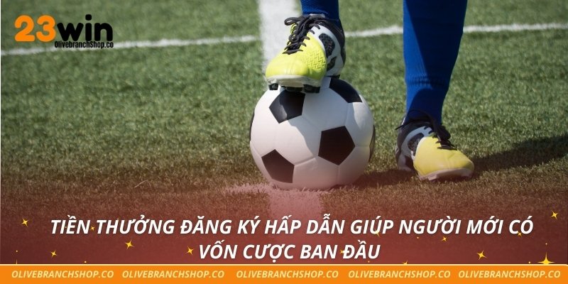 Tiền thưởng đăng ký hấp dẫn giúp người mới có vốn cược ban đầu