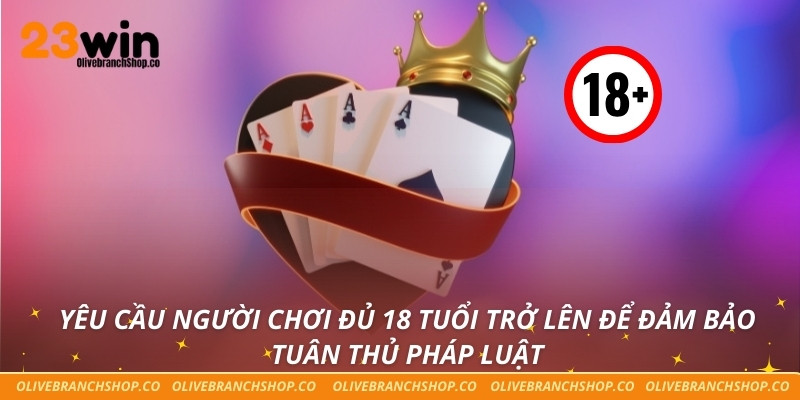 Yêu cầu người chơi đủ 18 tuổi trở lên để đảm bảo tuân thủ pháp luật